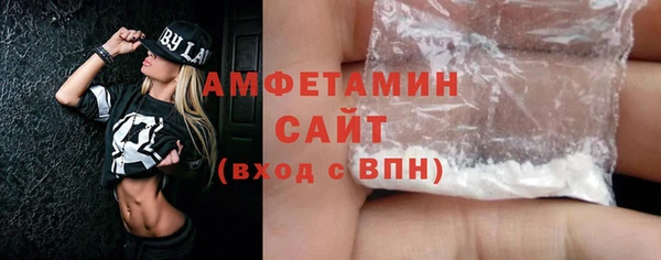индика Горняк