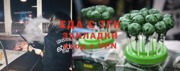 индика Горняк