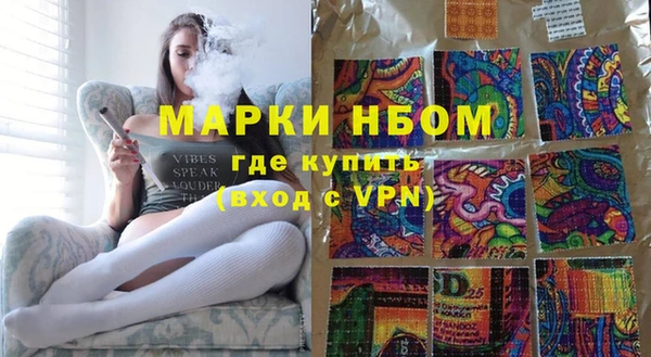 индика Горняк