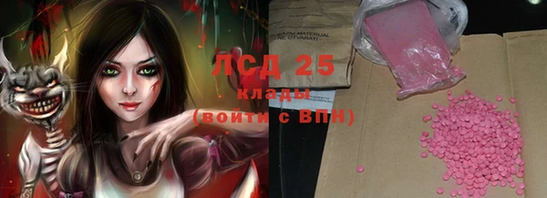 индика Горняк