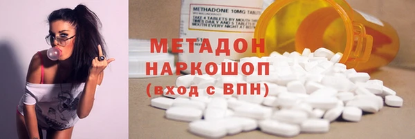 индика Горняк