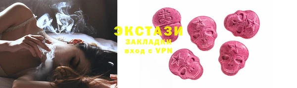 индика Горняк