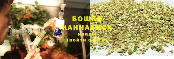 индика Горняк