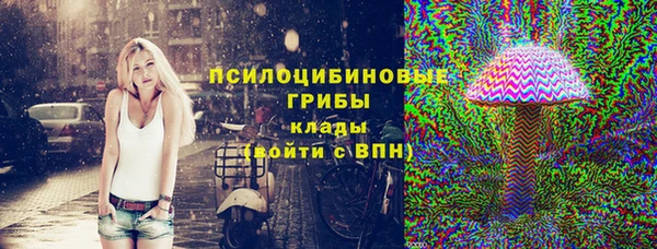 индика Горняк
