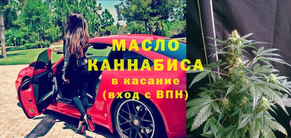 индика Горняк
