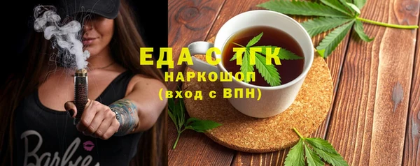 индика Горняк