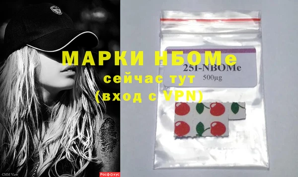 индика Горняк