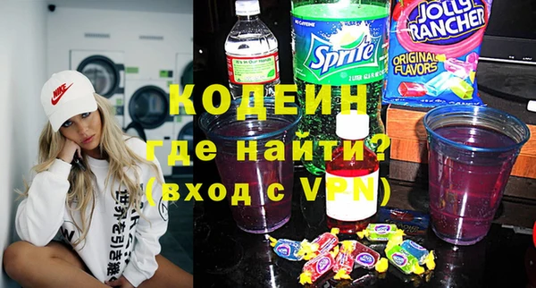 индика Горняк