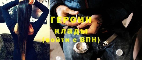 индика Горняк